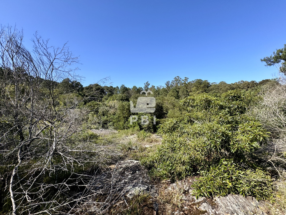 Las Cumbres - GoPunta - Portal Inmobiliario de Punta del Este - Maldonado