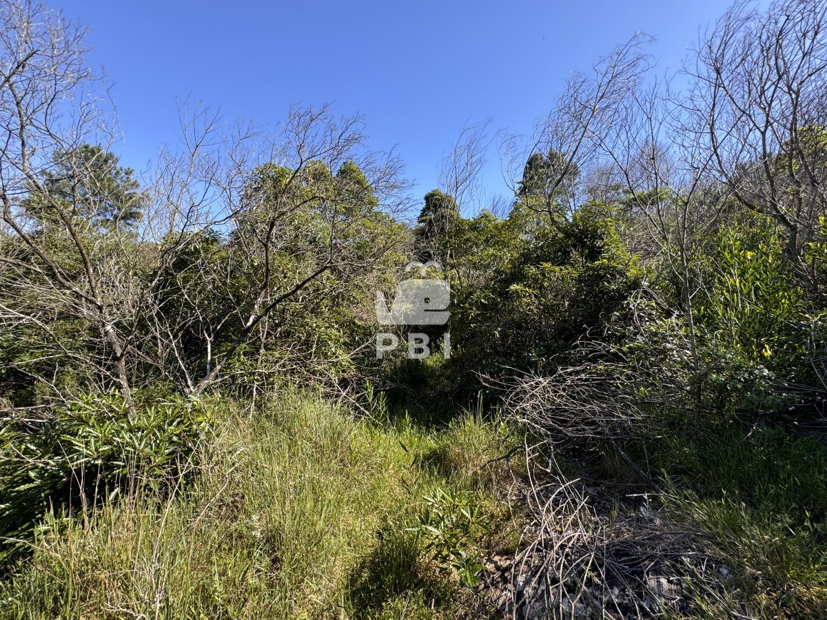 Las Cumbres - GoPunta - Portal Inmobiliario de Punta del Este - Maldonado