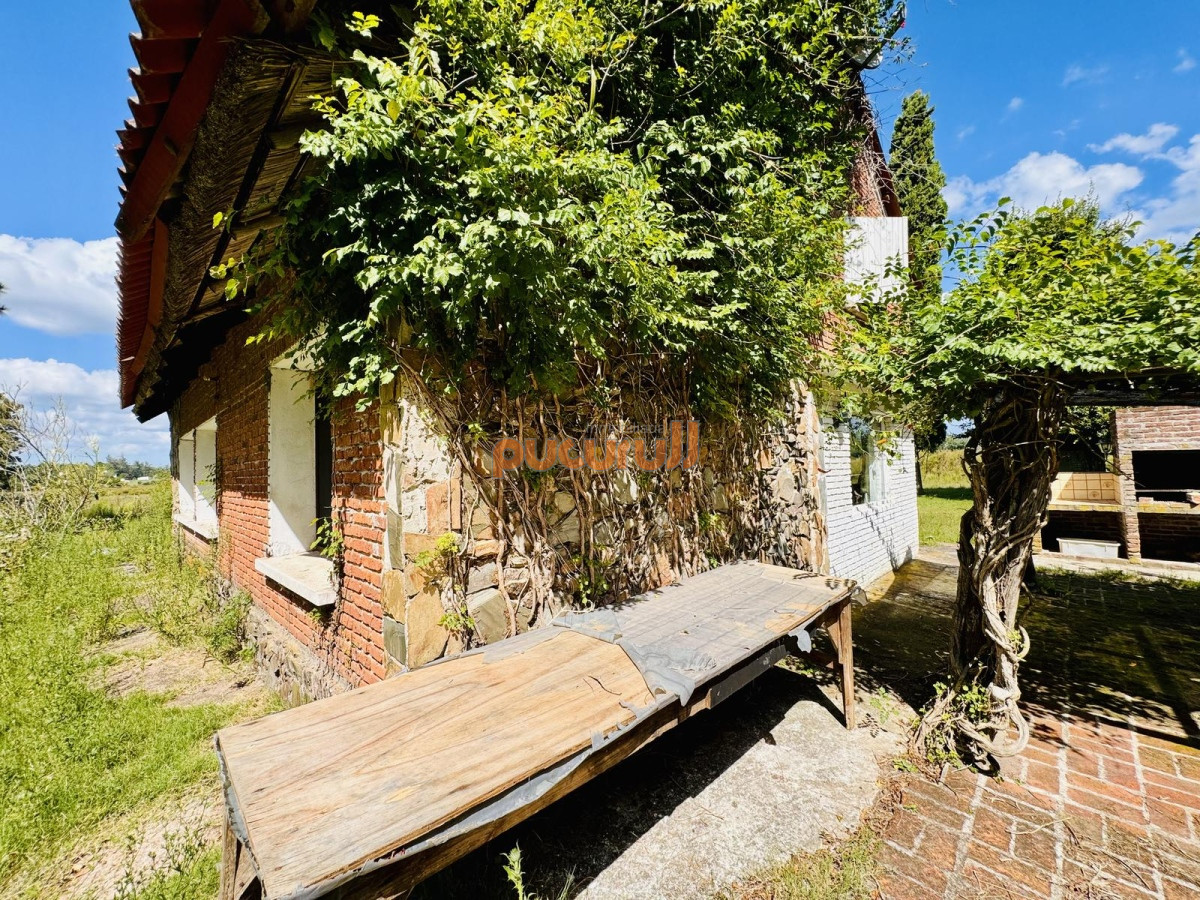 Chacra ID.2663 - Venta Chacra con Casa 4 dormitorios Camino a la Pataia