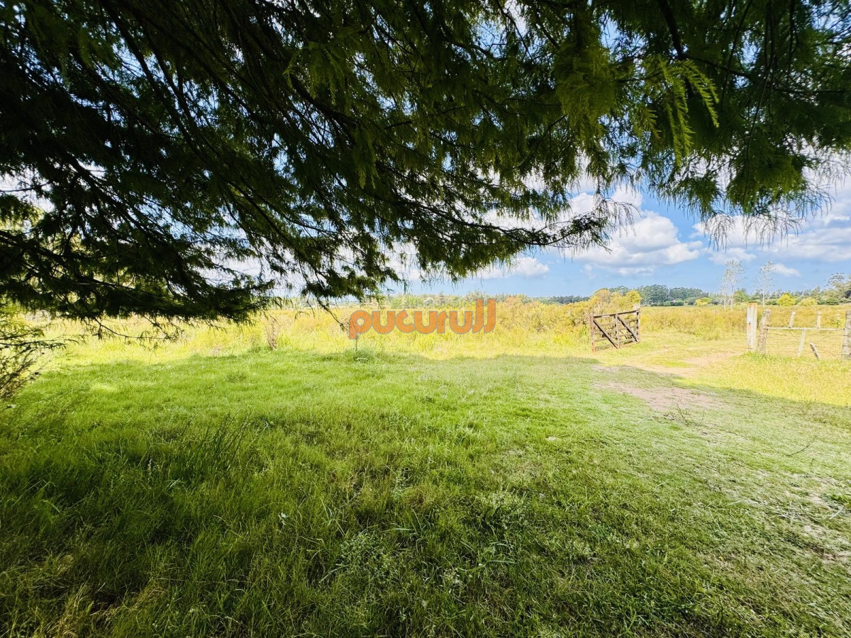 Chacra ID.2663 - Venta Chacra con Casa 4 dormitorios Camino a la Pataia