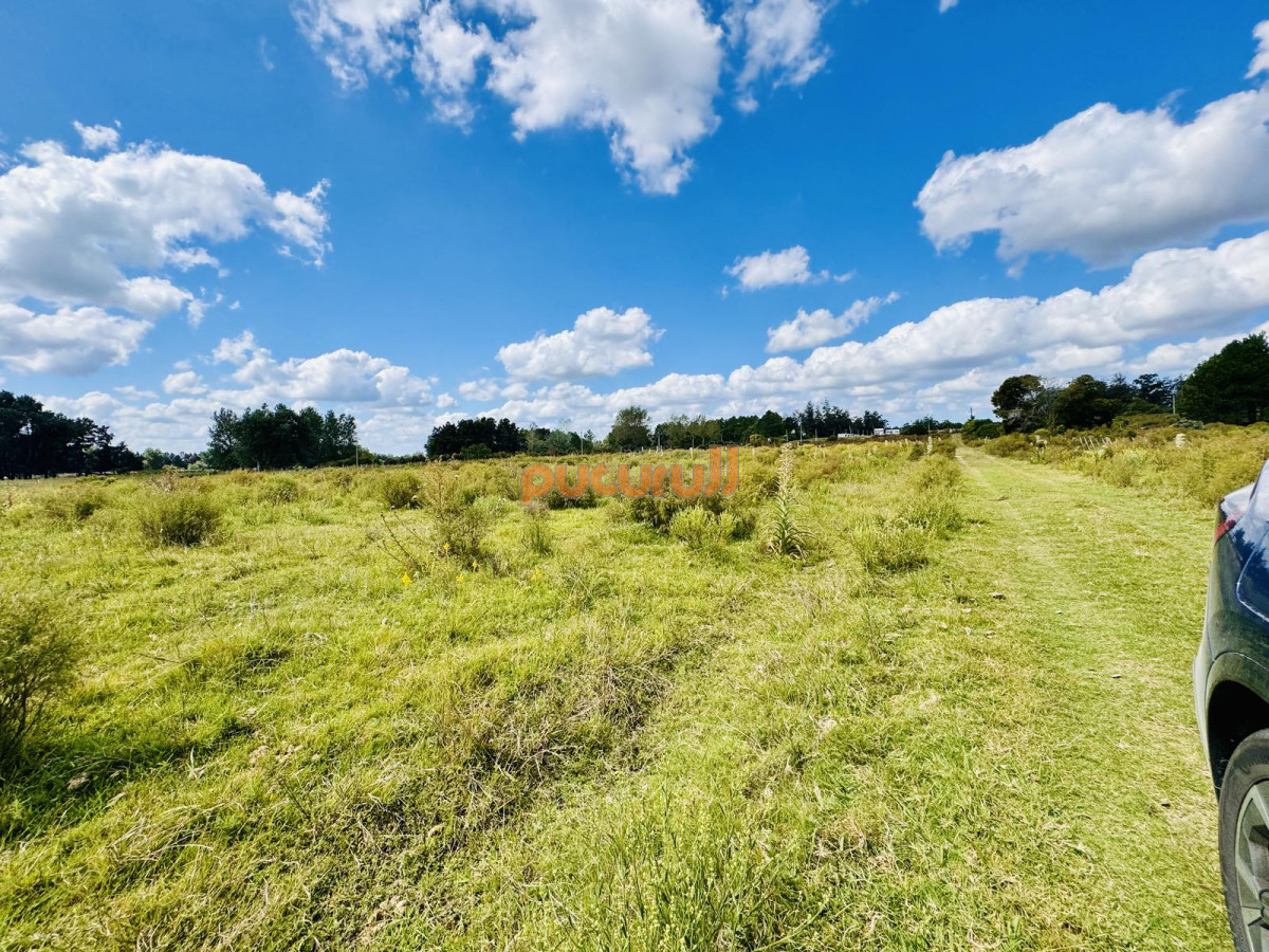 Chacra ID.2663 - Venta Chacra con Casa 4 dormitorios Camino a la Pataia