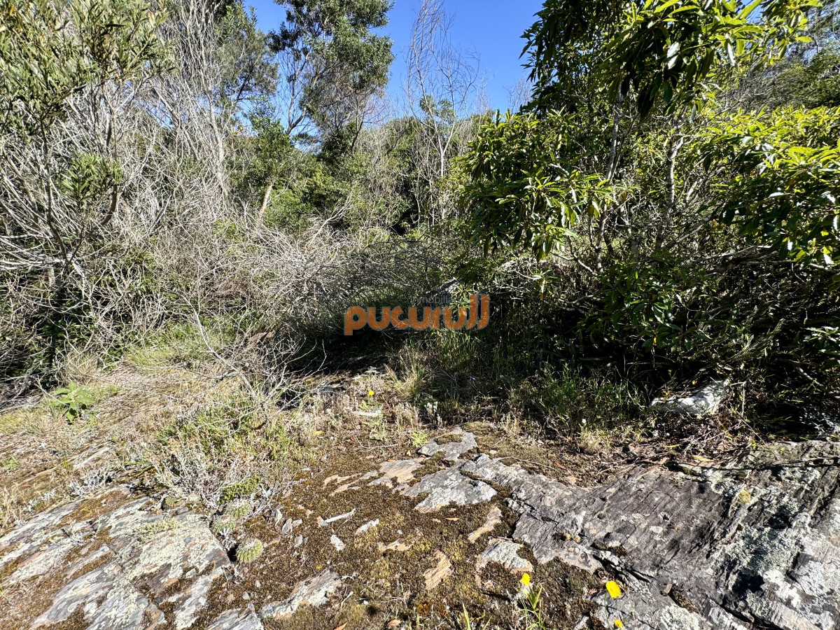 Terreno ID.1930 - Venta terreno Las Cumbres Punta Ballena Punta del Este