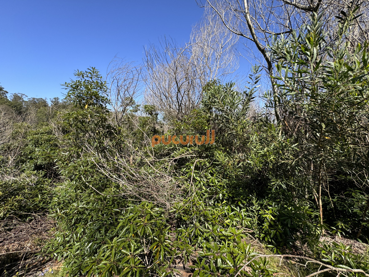 Terreno ID.1930 - Venta terreno Las Cumbres Punta Ballena Punta del Este
