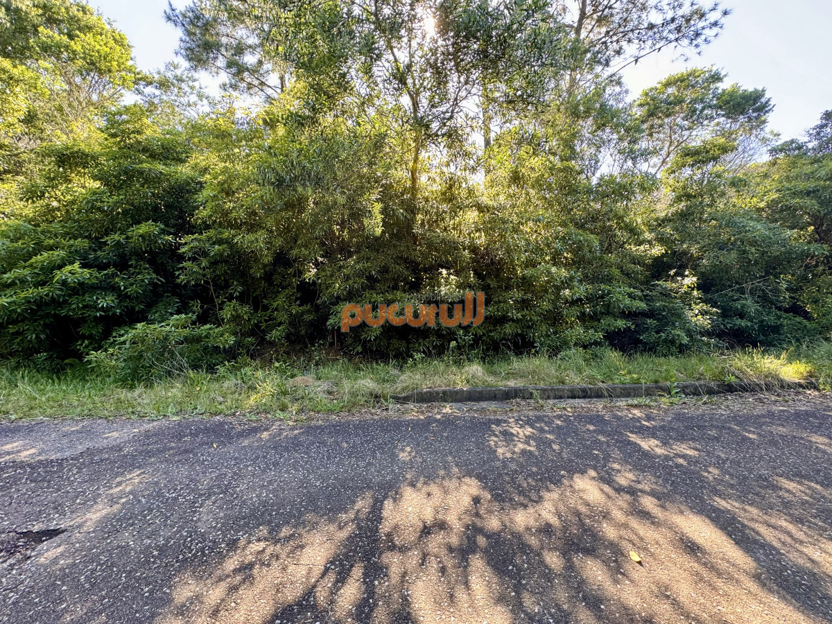 Terreno ID.1930 - Venta terreno Las Cumbres Punta Ballena Punta del Este