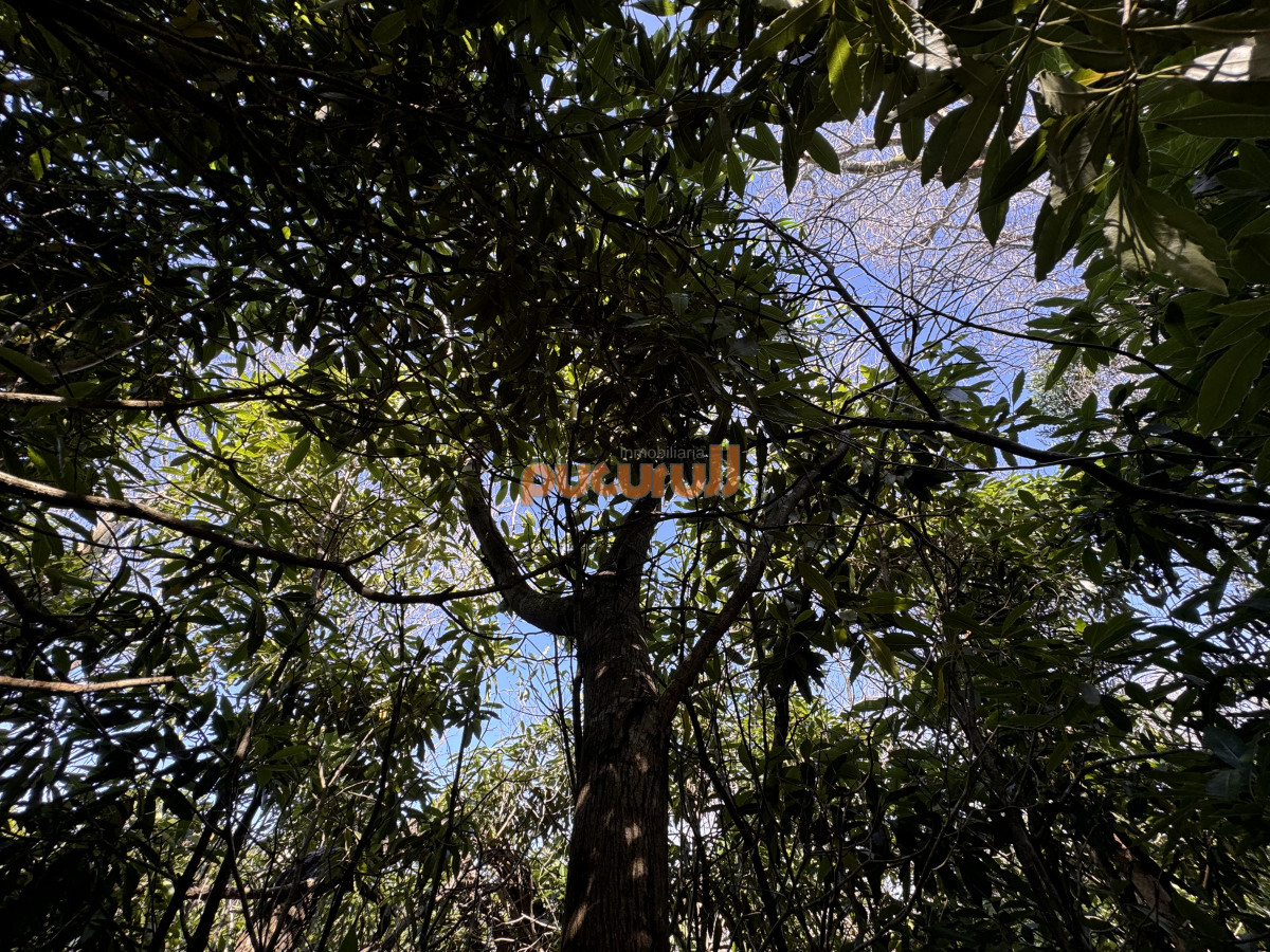 Terreno ID.1930 - Venta terreno Las Cumbres Punta Ballena Punta del Este