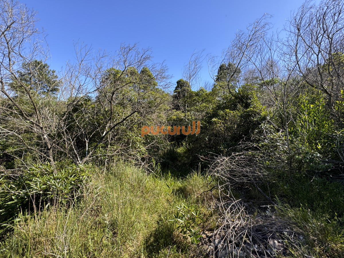 Terreno ID.1930 - Venta terreno Las Cumbres Punta Ballena Punta del Este