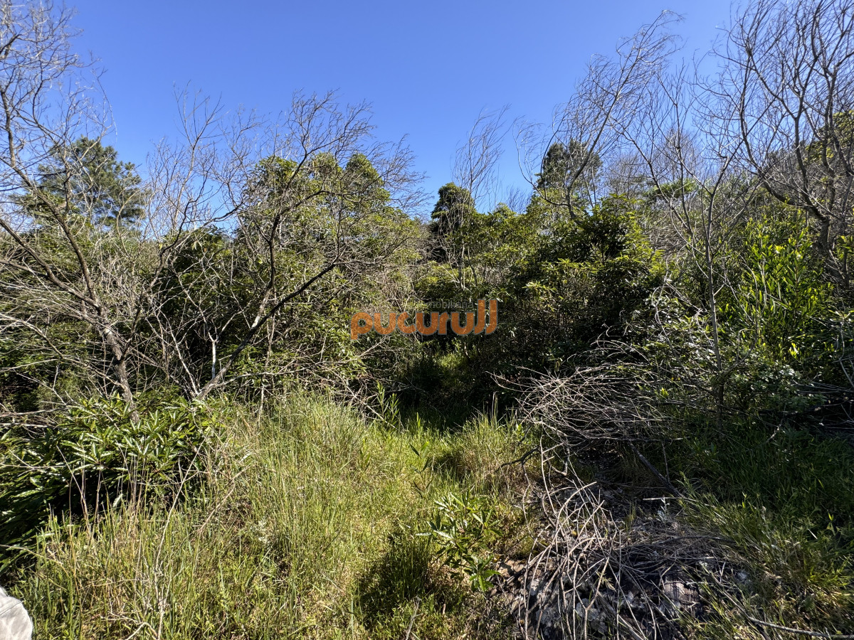 Terreno ID.1930 - Venta terreno Las Cumbres Punta Ballena Punta del Este