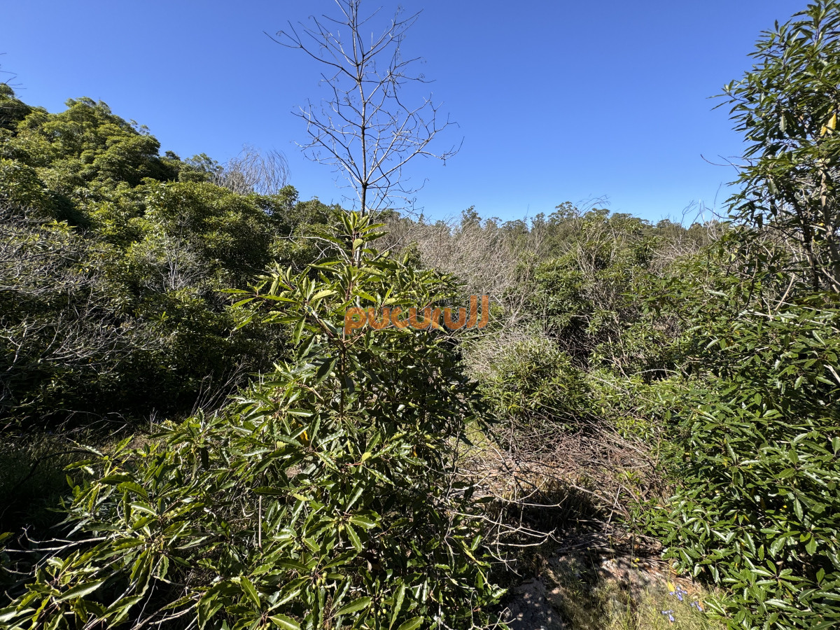Terreno ID.1930 - Venta terreno Las Cumbres Punta Ballena Punta del Este