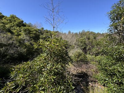 Venta terreno Las Cumbres Punta Ballena Punta del Este
