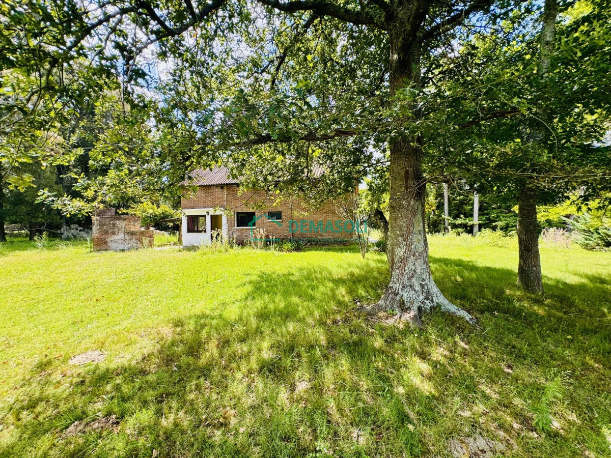 Chacra ID.1440 - Venta Chacra con Casa 4 dormitorios Camino a la Pataia
