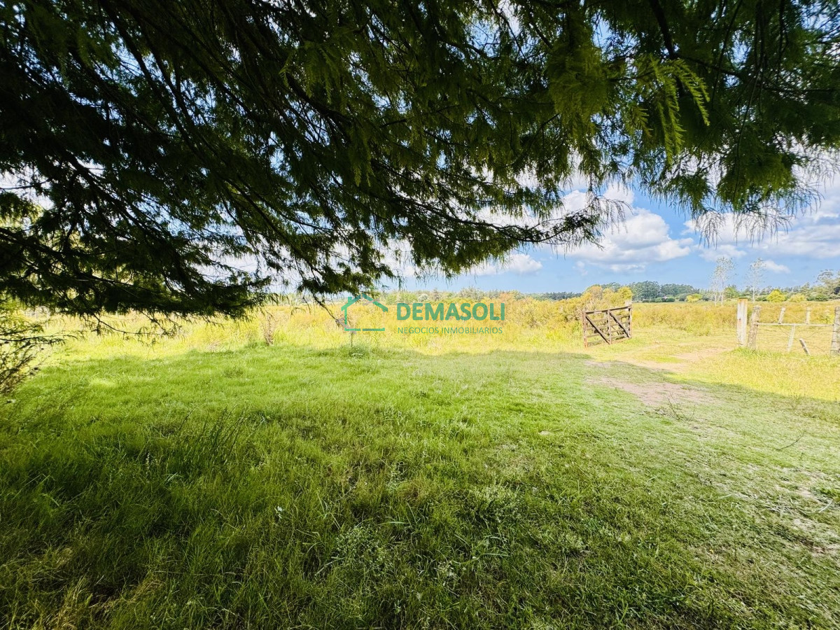 Chacra ID.1440 - Venta Chacra con Casa 4 dormitorios Camino a la Pataia