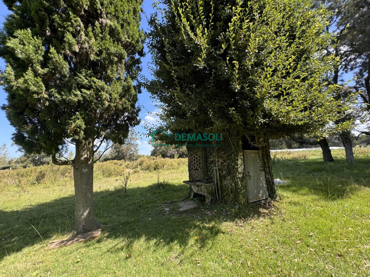 Chacra ID.1440 - Venta Chacra con Casa 4 dormitorios Camino a la Pataia