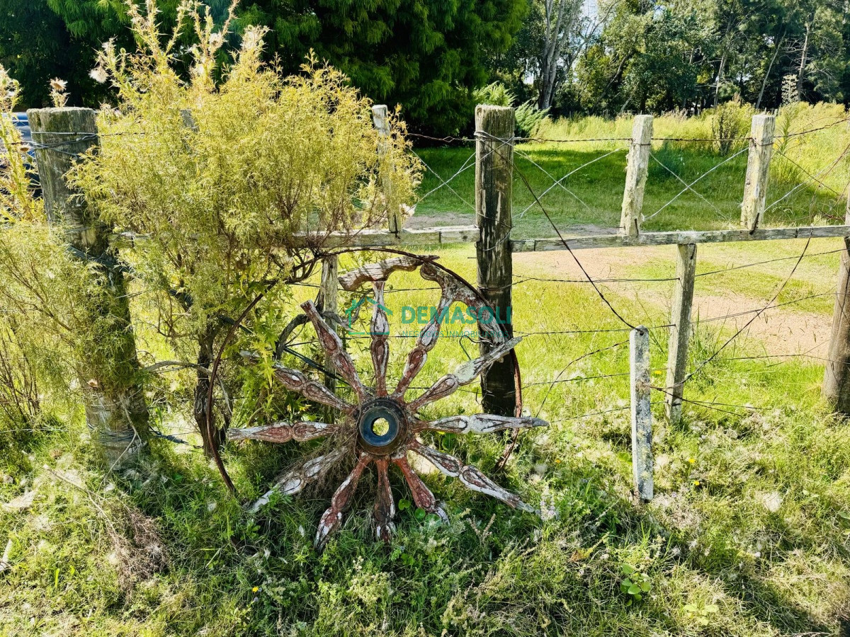 Chacra ID.1440 - Venta Chacra con Casa 4 dormitorios Camino a la Pataia