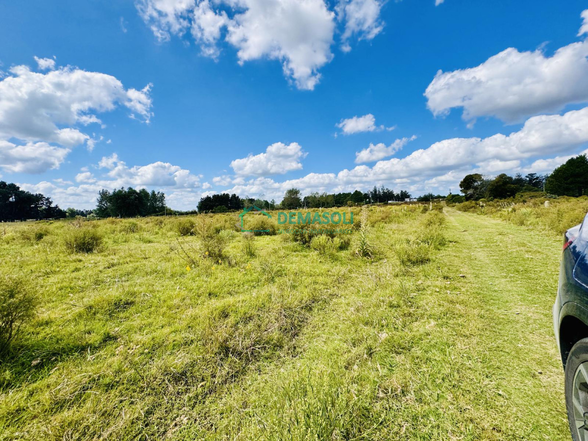 Chacra ID.1440 - Venta Chacra con Casa 4 dormitorios Camino a la Pataia