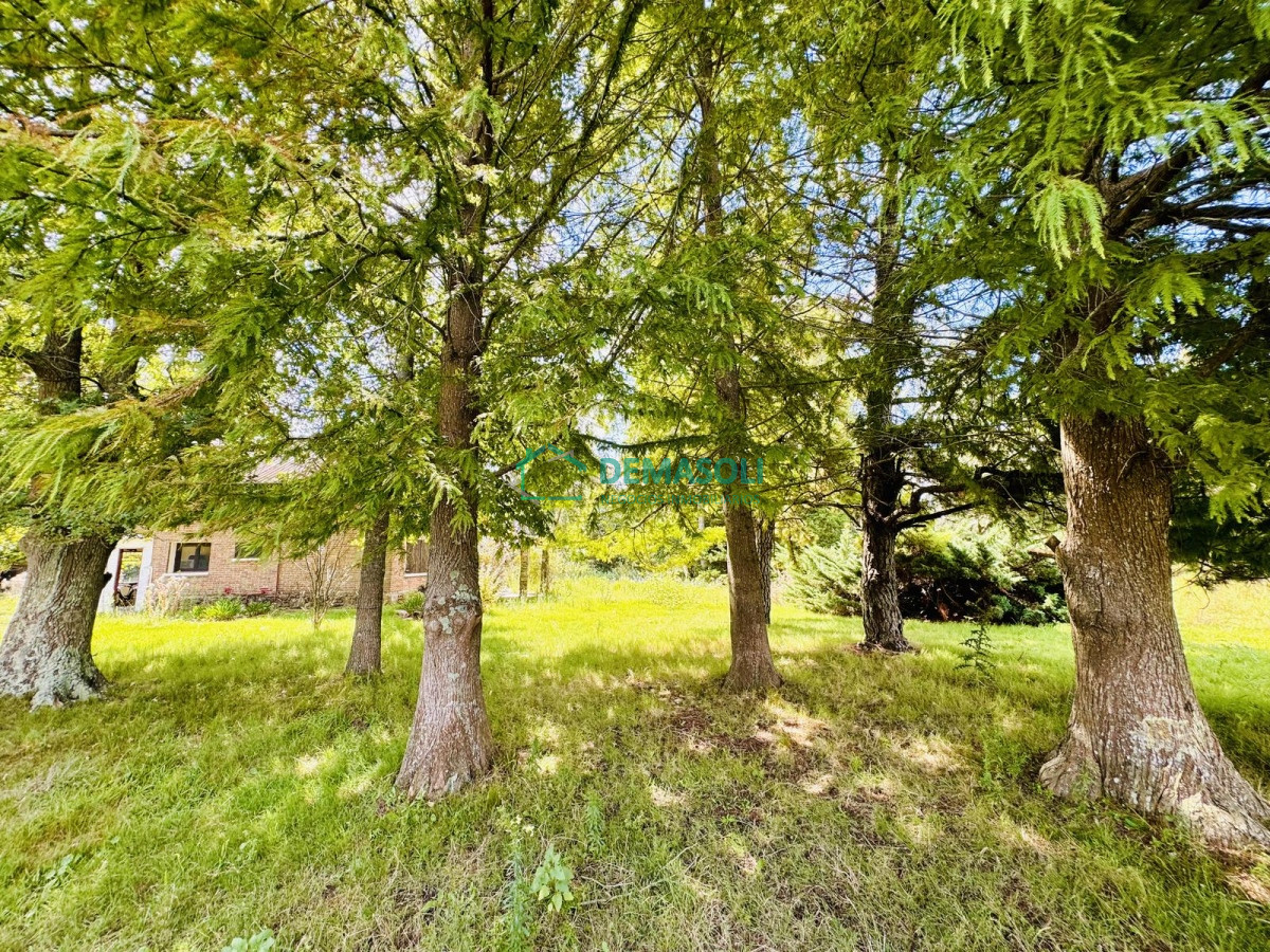 Chacra ID.1440 - Venta Chacra con Casa 4 dormitorios Camino a la Pataia