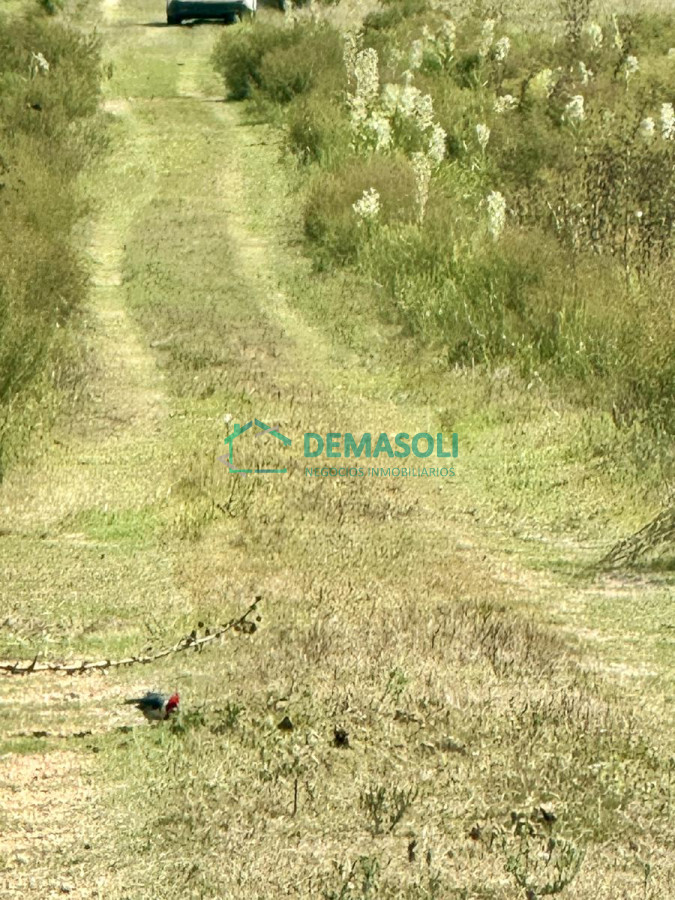 Chacra ID.1440 - Venta Chacra con Casa 4 dormitorios Camino a la Pataia