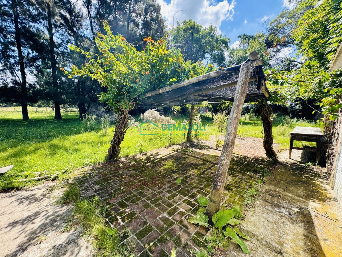 Chacra ID.1440 - Venta Chacra con Casa 4 dormitorios Camino a la Pataia