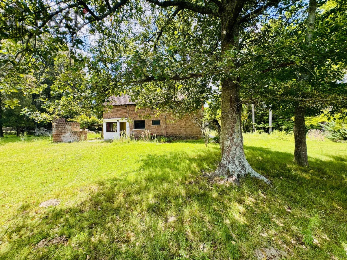 Chacra ID.7506 - Venta Chacra con Casa 4 dormitorios Camino a la Pataia