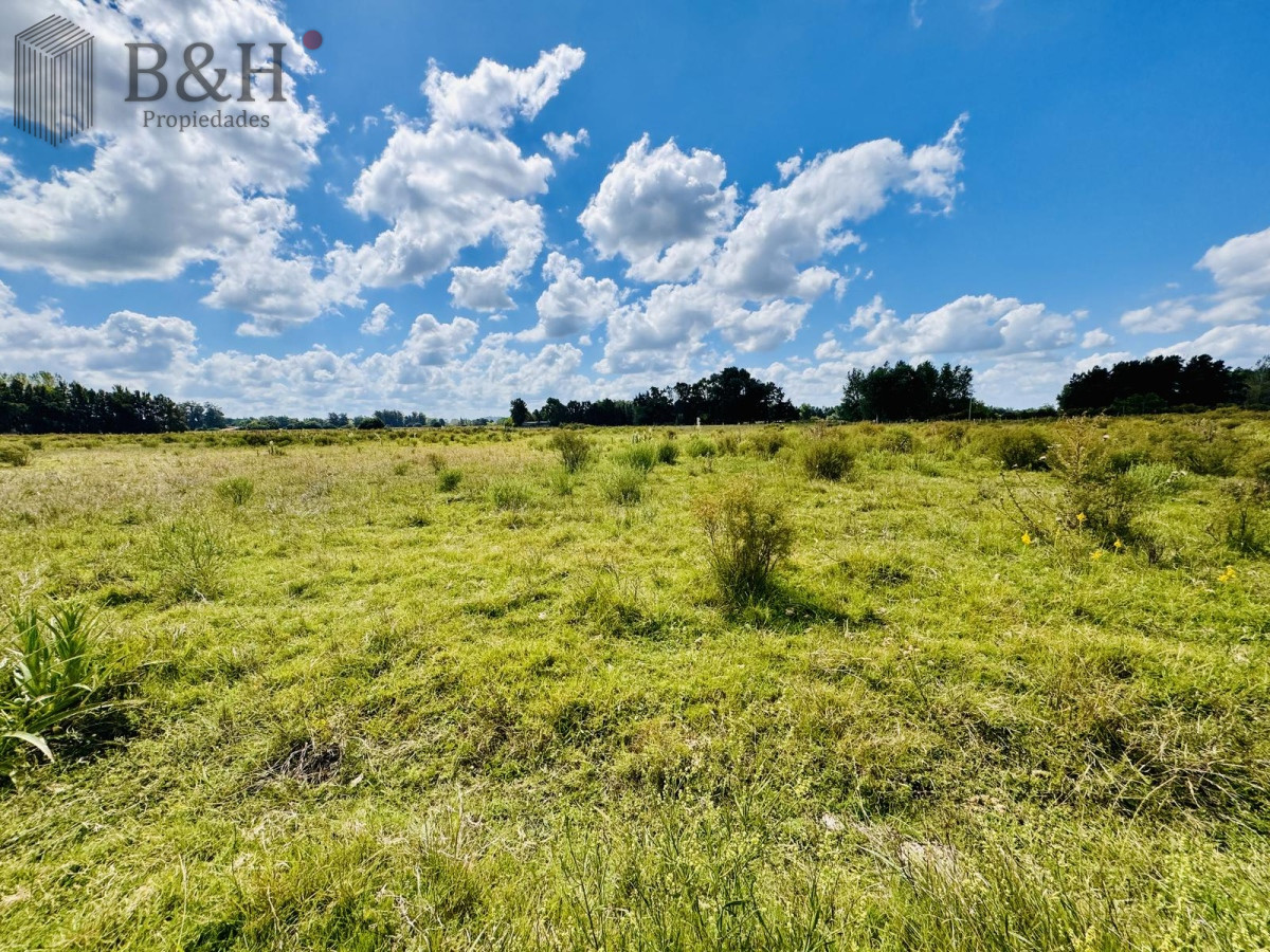Venta Chacra con Casa 4 dormitorios Camino a la Pataia - BYH7506H