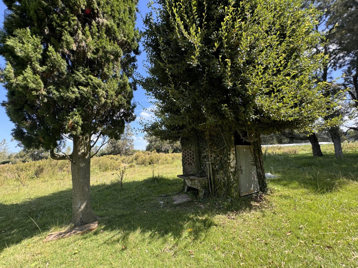 Chacra ID.7506 - Venta Chacra con Casa 4 dormitorios Camino a la Pataia