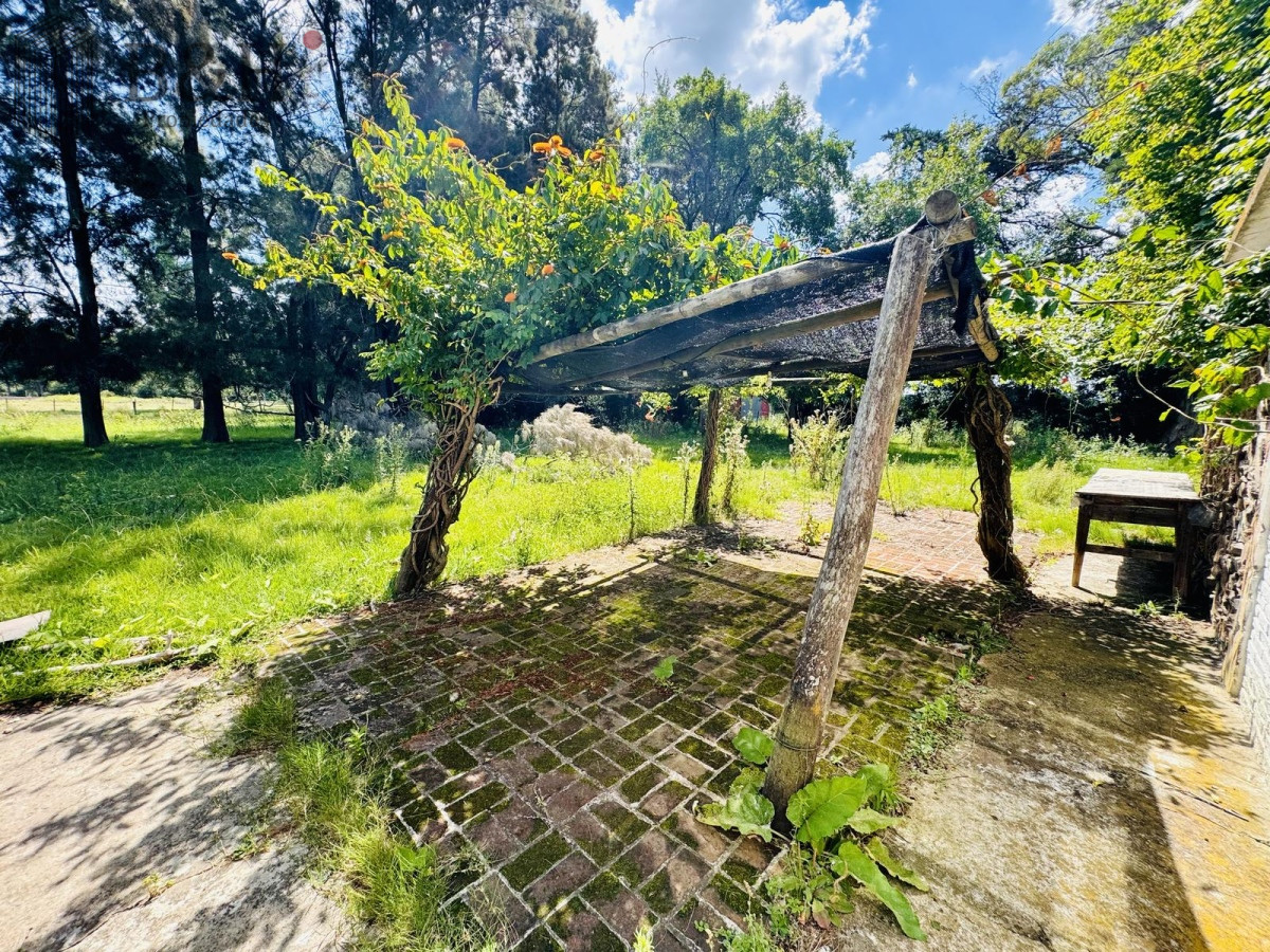 Chacra ID.7506 - Venta Chacra con Casa 4 dormitorios Camino a la Pataia