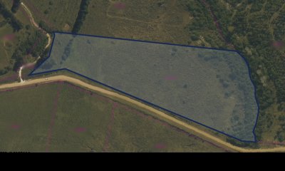 Chacra de 5,6 Ha a Pasos de Pan de Azucar. Cuenta con pozo de agua, luz y costa de arroyo.