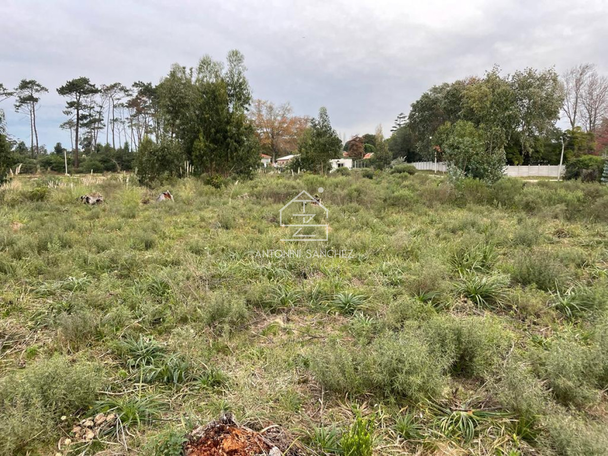 Terreno ID.1789 - Venta terreno Punta del este