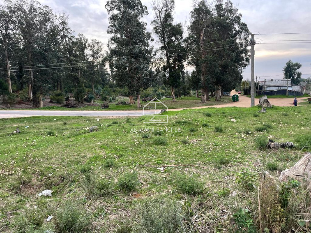 Terreno ID.1789 - Venta terreno Punta del este