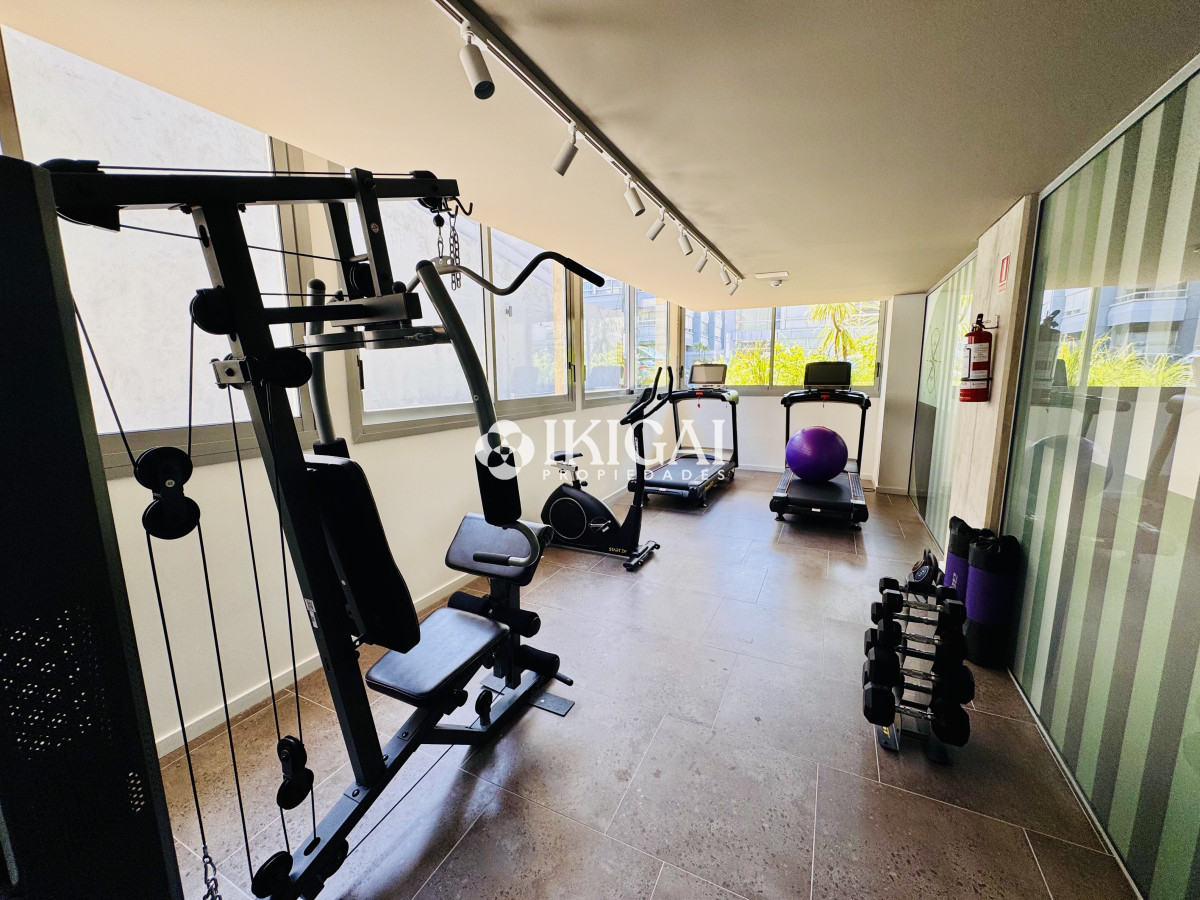 Apartamento ID.180 - APTO DE 1 DORMITORIO EN PLENO CORAZON DE LA PENINSULA