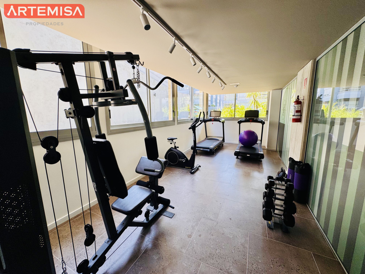 Apartamento ID.559 - APTO DE 1 DORMITORIO EN PLENO CORAZON DE LA PENINSULA