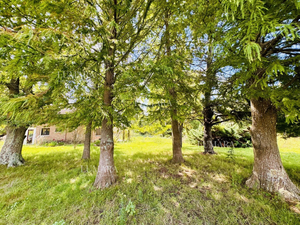 Chacra ID.3235 - Venta Chacra con Casa 4 dormitorios Camino a la Pataia