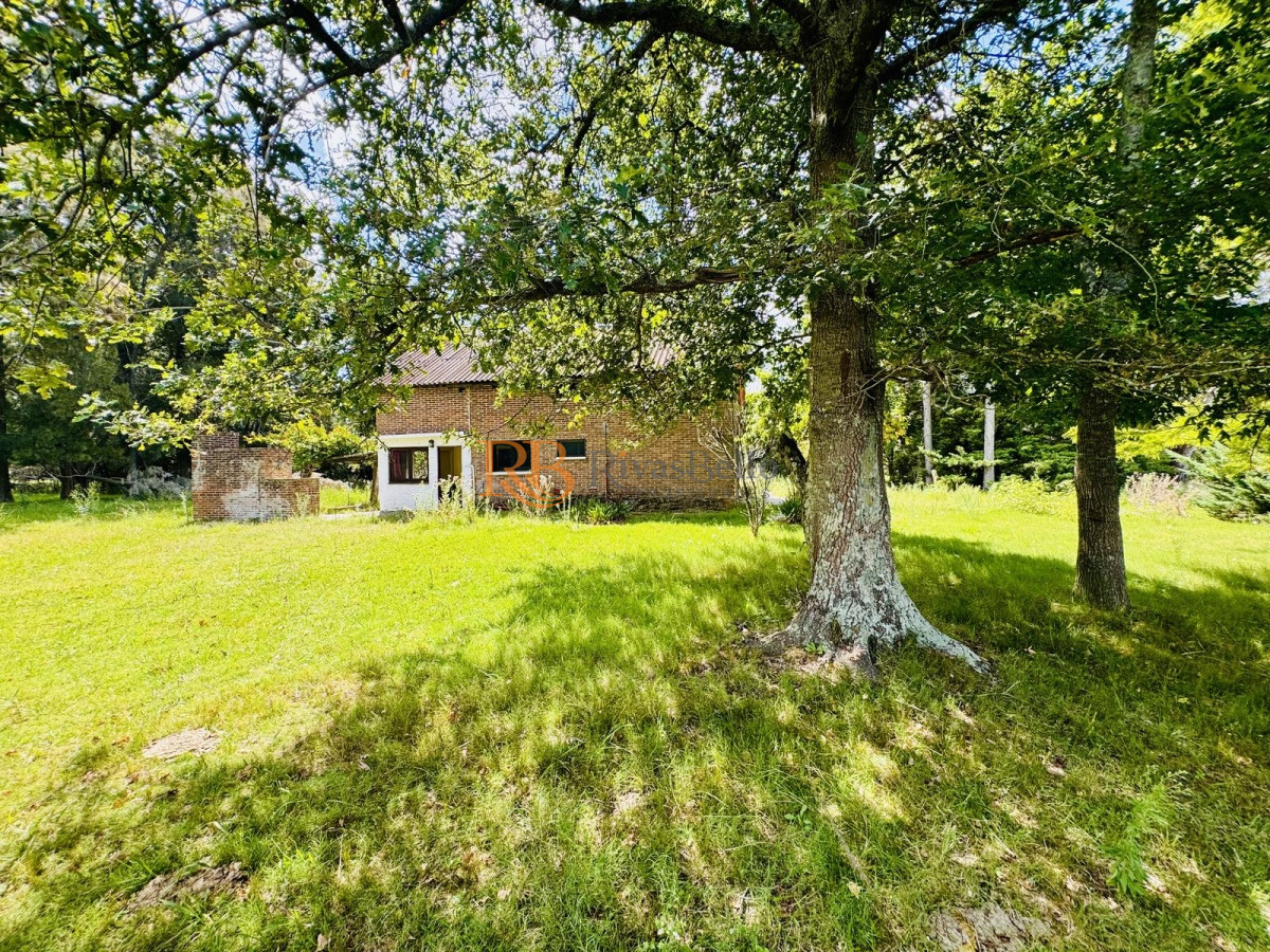 Chacra ID.123 - Venta Chacra con Casa 4 dormitorios Camino a la Pataia