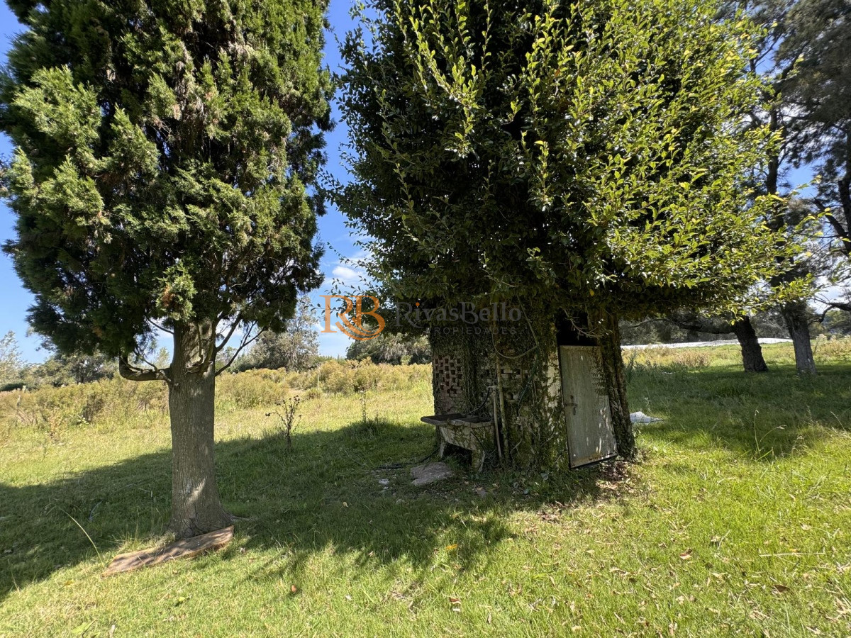 Chacra ID.123 - Venta Chacra con Casa 4 dormitorios Camino a la Pataia