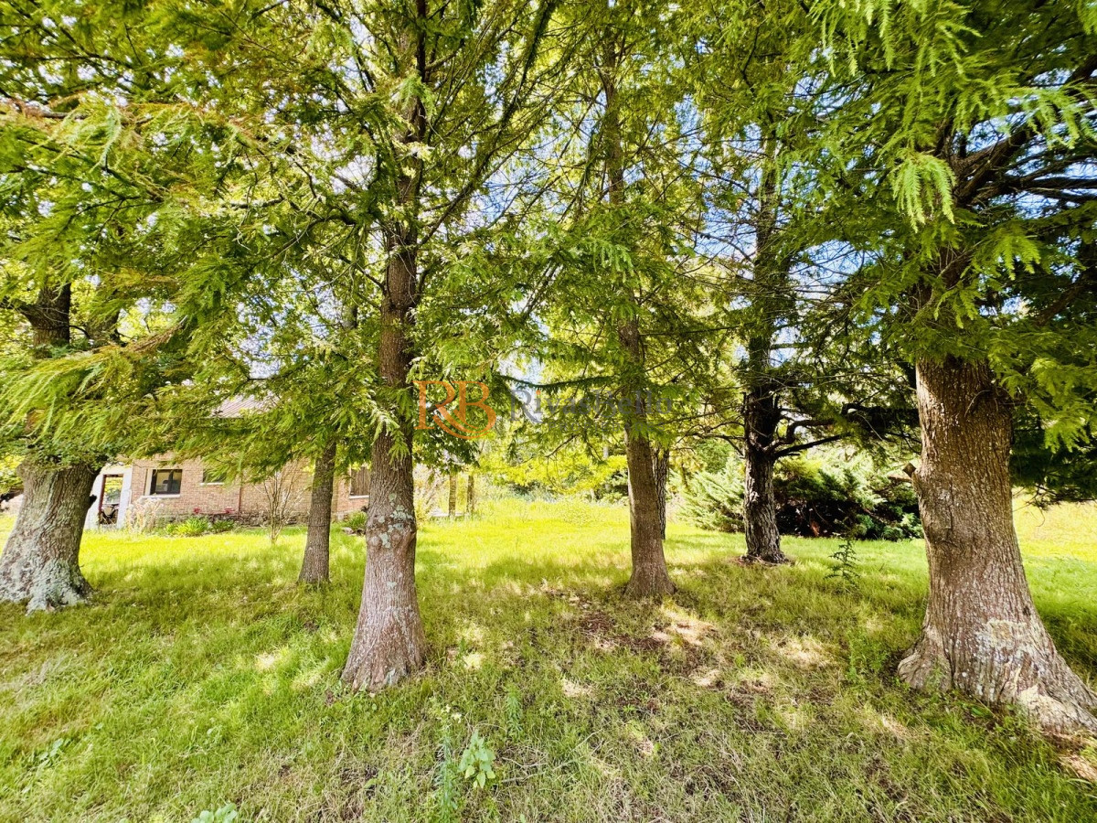 Chacra ID.123 - Venta Chacra con Casa 4 dormitorios Camino a la Pataia