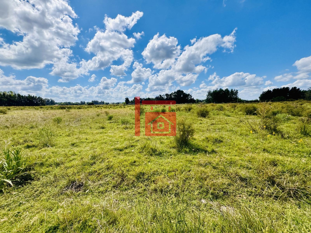 Chacra ID.581 - Venta Chacra con Casa 4 dormitorios Camino a la Pataia