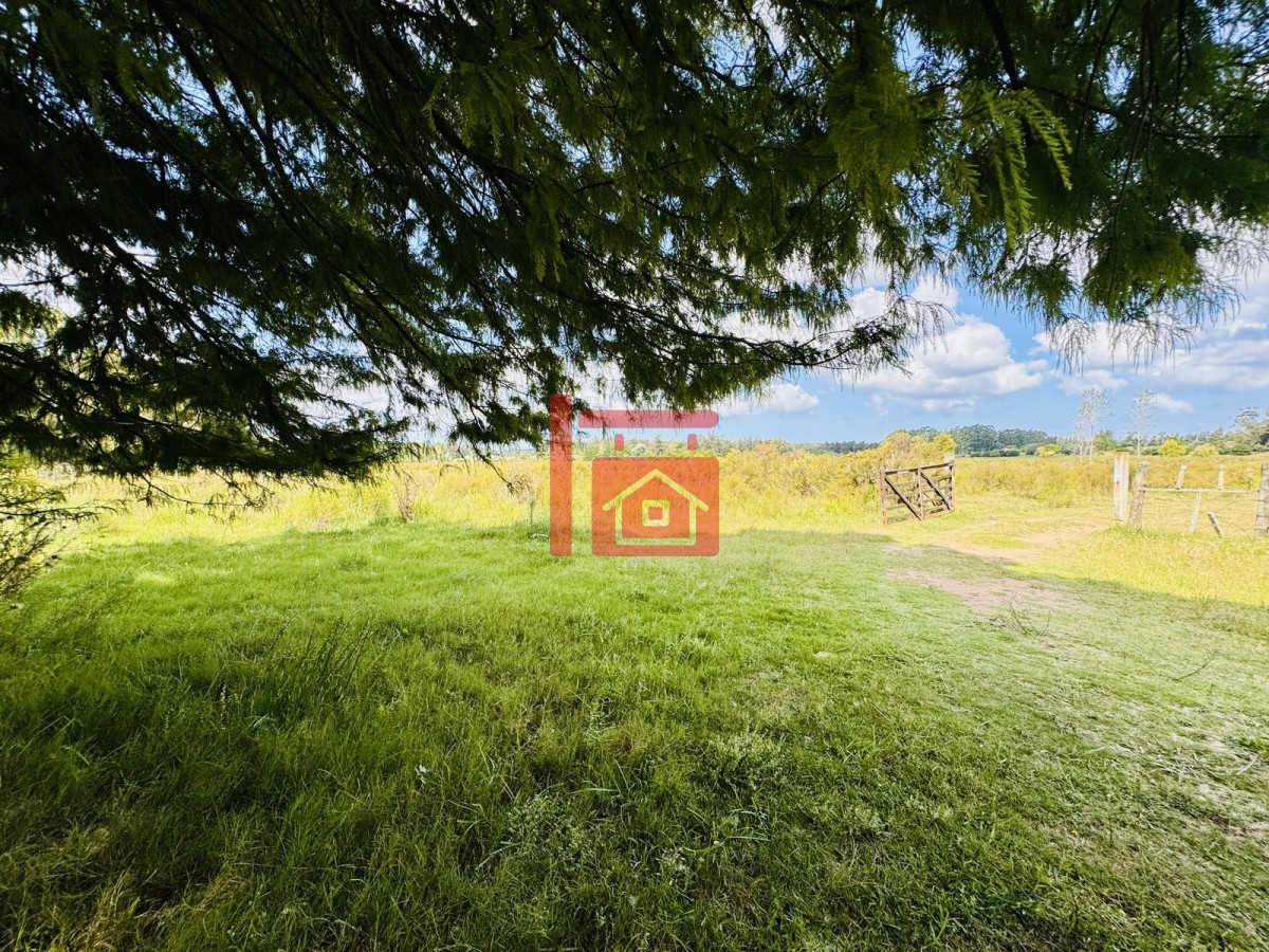 Chacra ID.581 - Venta Chacra con Casa 4 dormitorios Camino a la Pataia