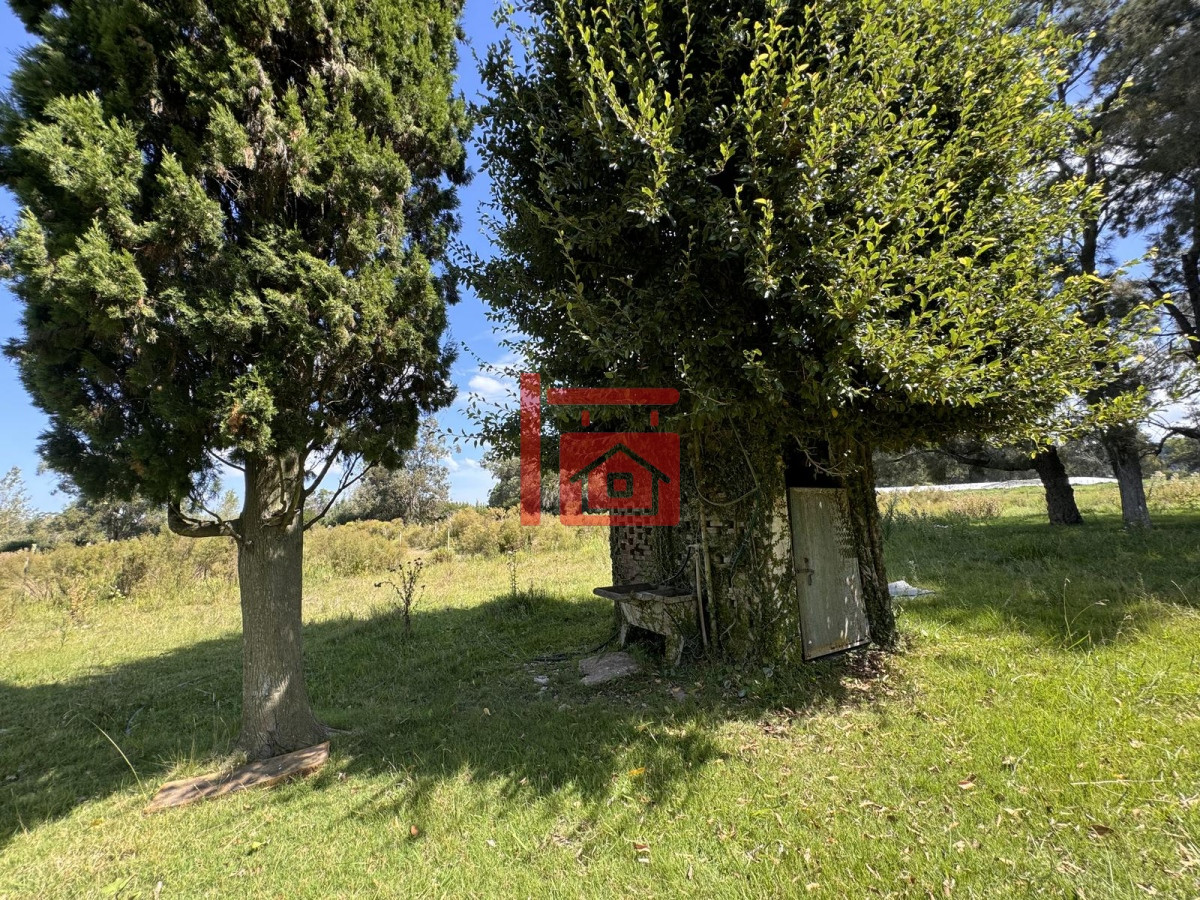 Chacra ID.581 - Venta Chacra con Casa 4 dormitorios Camino a la Pataia