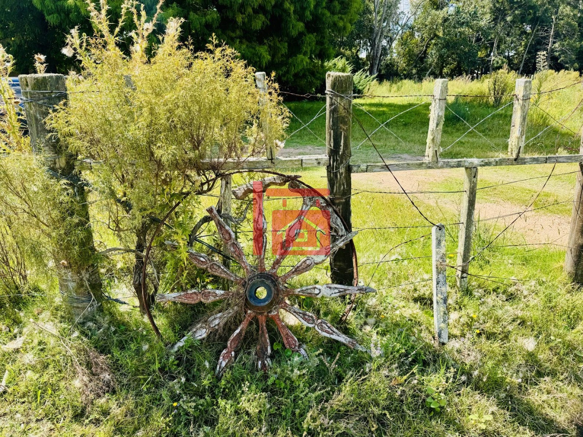 Chacra ID.581 - Venta Chacra con Casa 4 dormitorios Camino a la Pataia