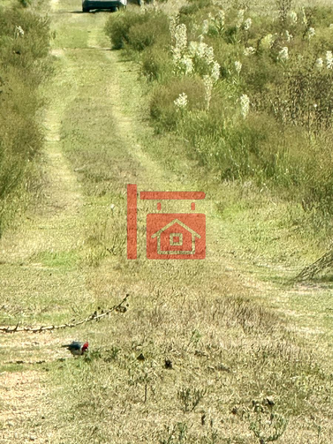 Chacra ID.581 - Venta Chacra con Casa 4 dormitorios Camino a la Pataia