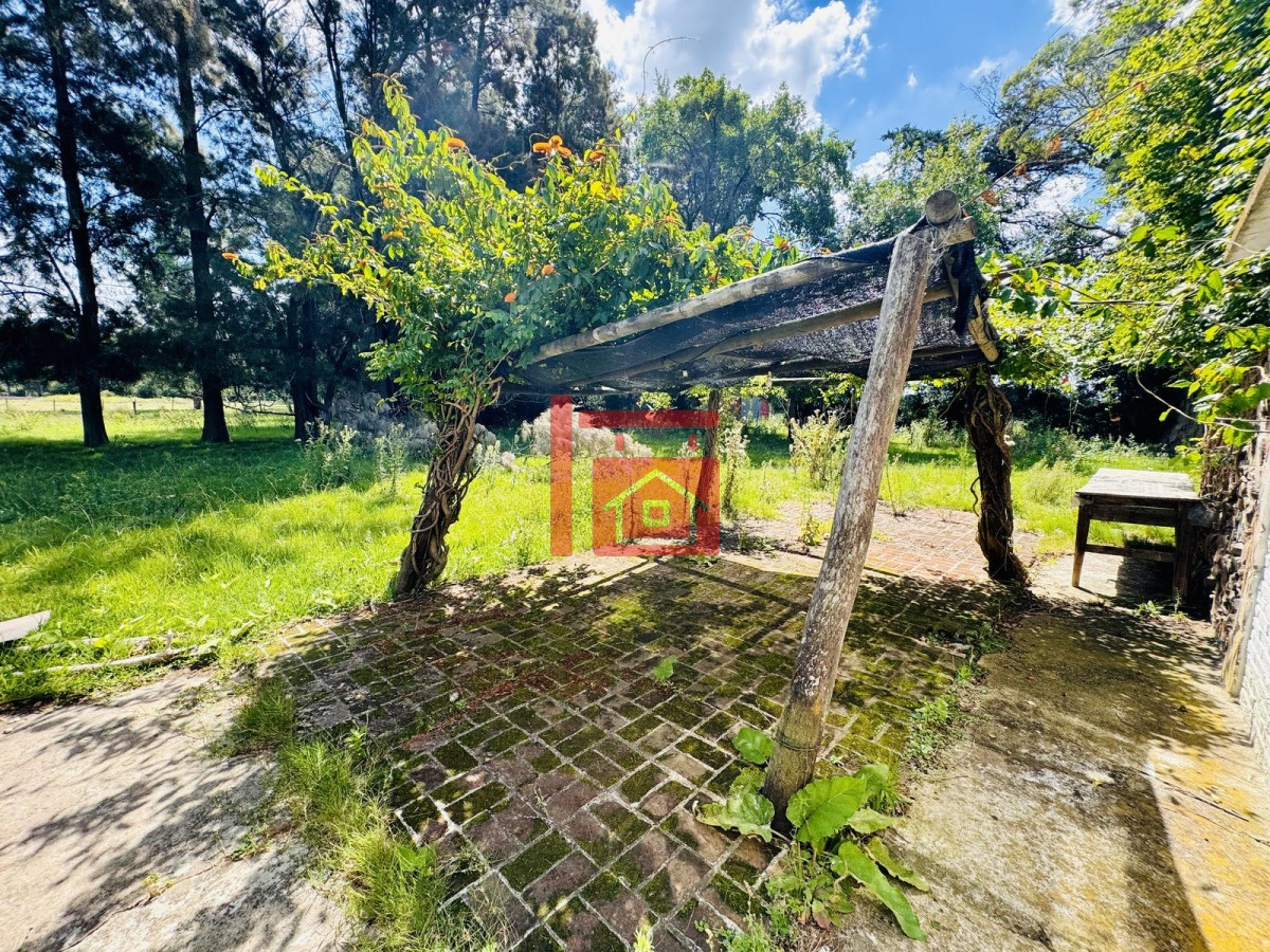 Chacra ID.581 - Venta Chacra con Casa 4 dormitorios Camino a la Pataia