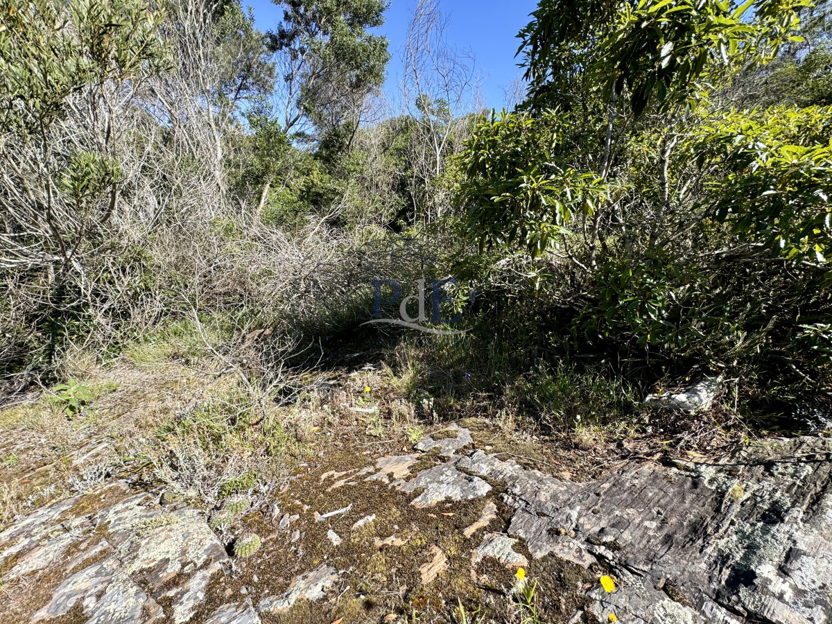 Terreno en venta | Las Cumbres, Punta Ballena. 2000m2 - Imagen 8