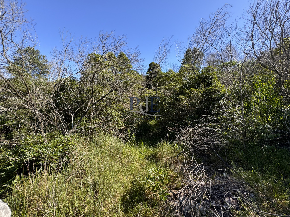 Terreno en venta | Las Cumbres, Punta Ballena. 2000m2 - Imagen 6