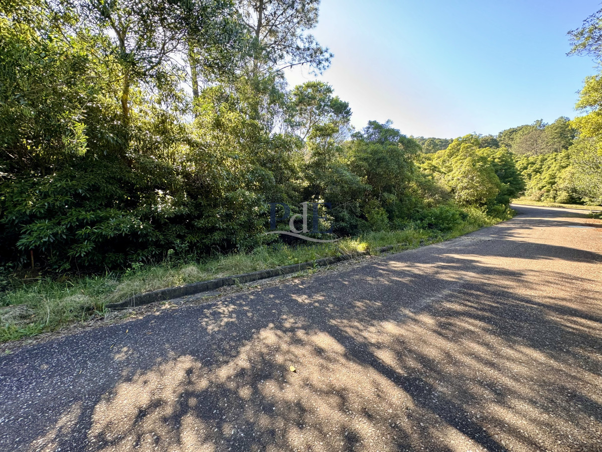 Terreno en venta | Las Cumbres, Punta Ballena. 2000m2 - Imagen 12