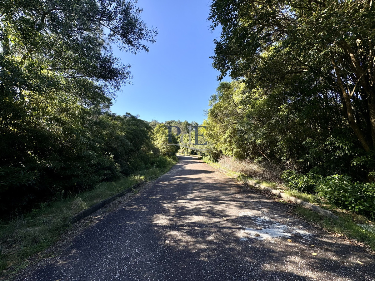 Terreno en venta | Las Cumbres, Punta Ballena. 2000m2 - Imagen 11