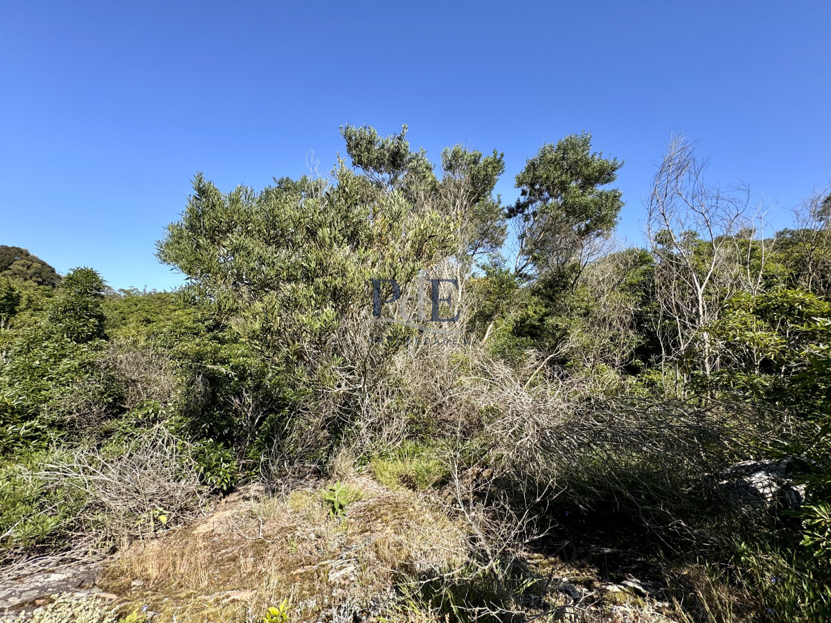 Terreno en venta | Las Cumbres, Punta Ballena. 2000m2 - Imagen 9