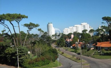 Appartment - Playa Mansa