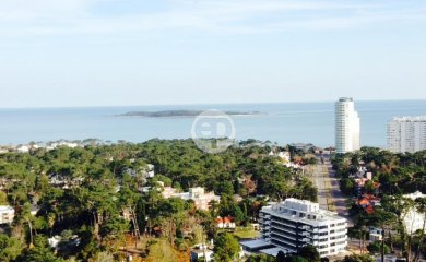 Appartment - Roosevelt