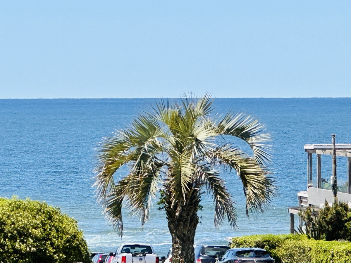 Venta Apartamento en Montoya 3 Dormitorios con Vista y Parrillero, La Barra