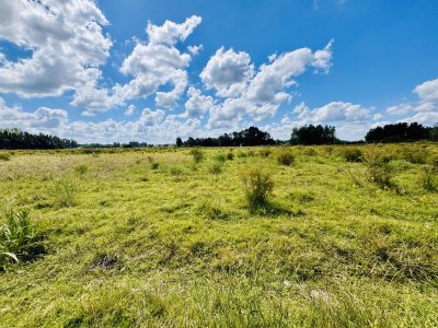 Venta Chacra con Casa 4 dormitorios Camino a la Pataia