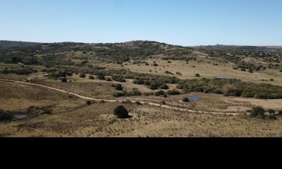 Venta de Chacra 5.8Ha en las Sierras